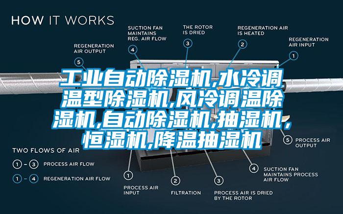 工业自动麻豆视频黄网站,水冷调温型麻豆视频黄网站,风冷调温麻豆视频黄网站,自动麻豆视频黄网站,抽湿机，恒湿机,降温抽湿机