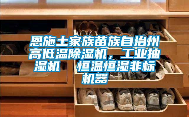 恩施土家族苗族自治州高低温麻豆视频黄网站，工业抽湿机  恒温恒湿非标机器