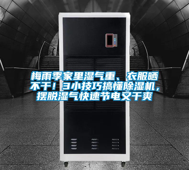 梅雨季家里湿气重、衣服晒不干！3小技巧搞懂麻豆视频黄网站，摆脱湿气快速节电又干爽