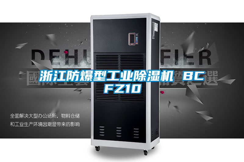 浙江防爆型工业麻豆视频黄网站 BCFZ10