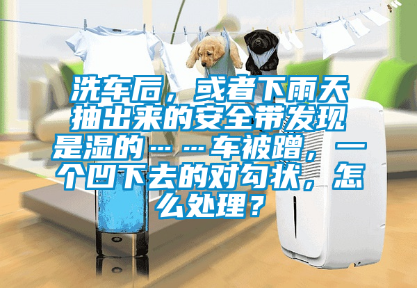 洗车后，或者下雨天抽出来的安全带发现是湿的……车被蹭，一个凹下去的对勾状，怎么处理？