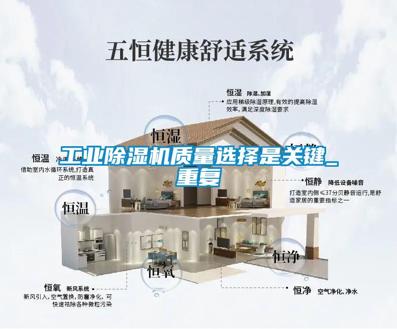 工业麻豆视频黄网站质量选择是关键_重复