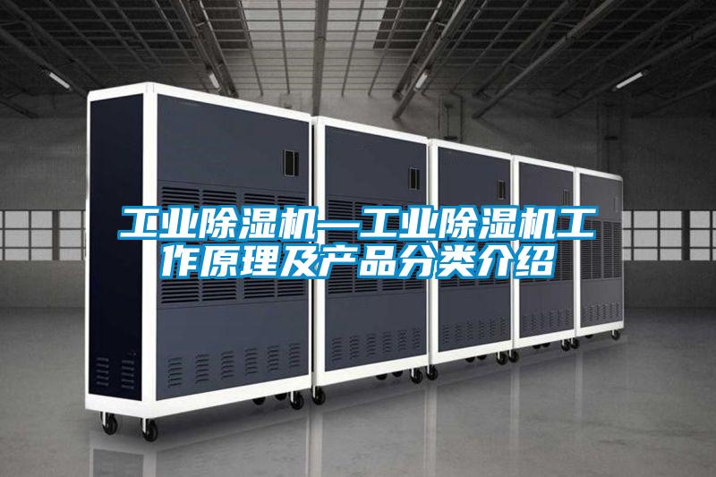 工业麻豆视频黄网站—工业麻豆视频黄网站工作原理及产品分类介绍
