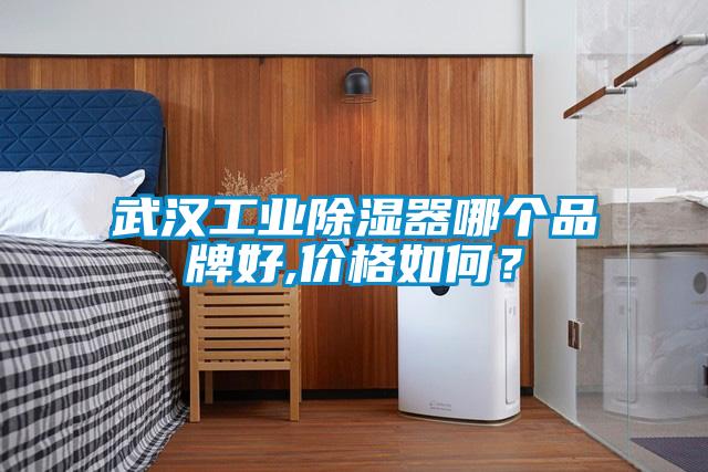 武汉工业除湿器哪个品牌好,价格如何？