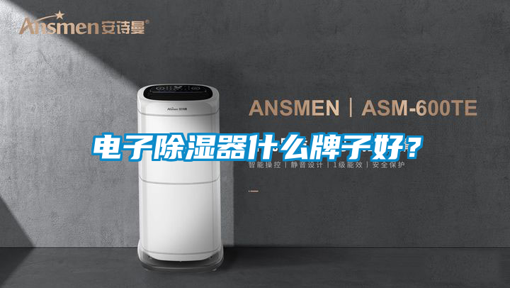 电子除湿器什么牌子好？