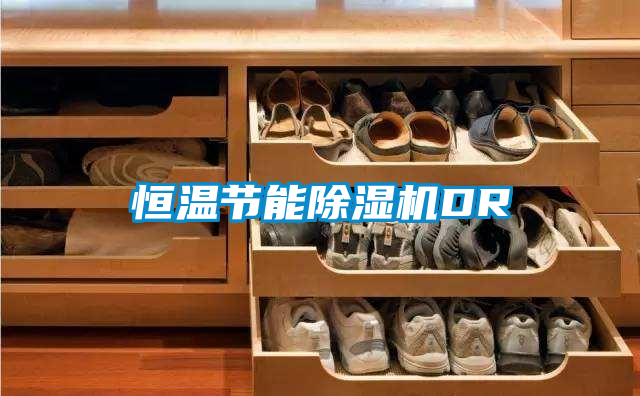恒温节能麻豆视频黄网站DR