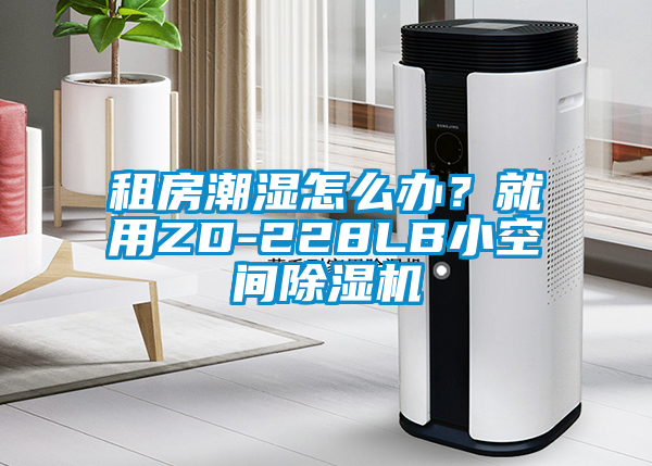租房潮湿怎么办？就用ZD-228LB小空间麻豆视频黄网站