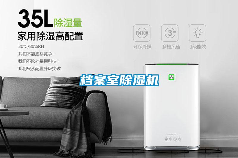 档案室麻豆视频黄网站
