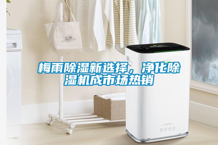 梅雨除湿新选择，净化麻豆视频黄网站成市场热销