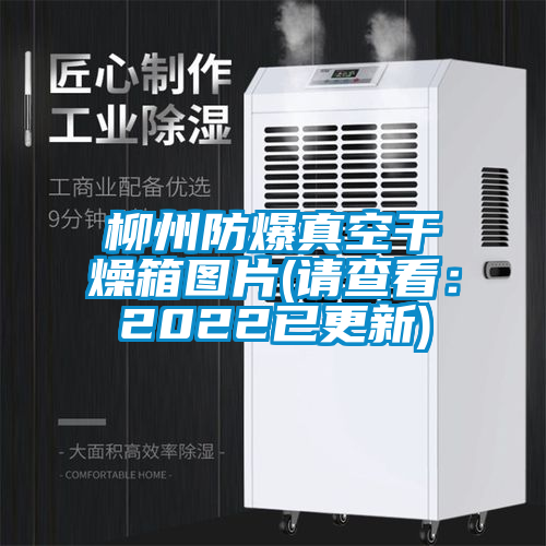 柳州防爆真空干燥箱图片(请查看：2022已更新)