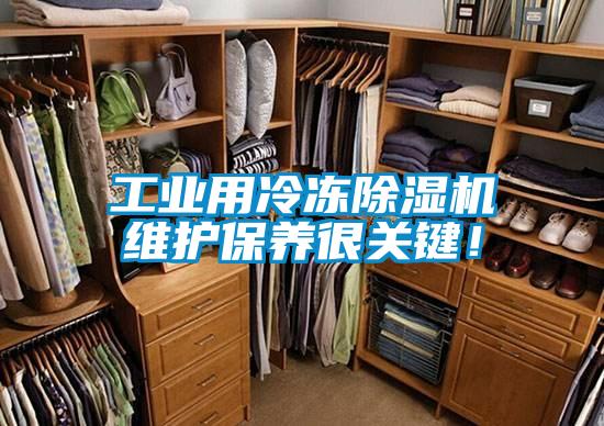 工业用冷冻麻豆视频黄网站维护保养很关键！