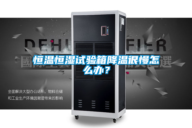 恒温恒湿试验箱降温很慢怎么办？