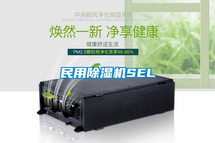 民用麻豆视频黄网站SEL