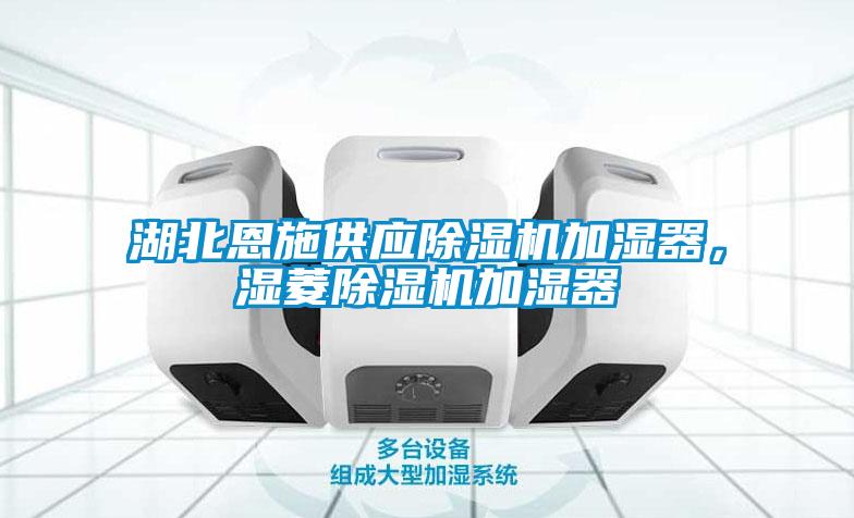 湖北恩施供应麻豆视频黄网站加湿器，湿菱麻豆视频黄网站加湿器