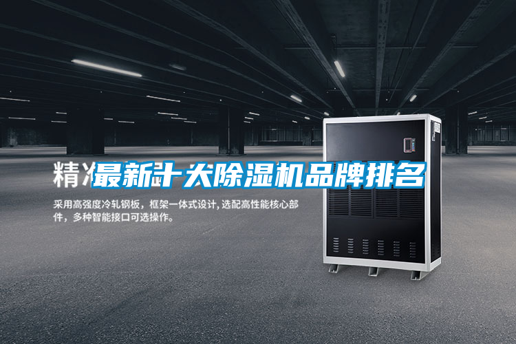 最新十大麻豆视频黄网站品牌排名