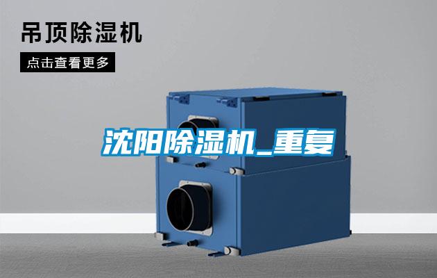 沈阳麻豆视频黄网站_重复