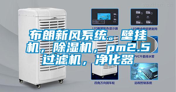 布朗新风系统。壁挂机，麻豆视频黄网站，pm2.5过滤机，净化器