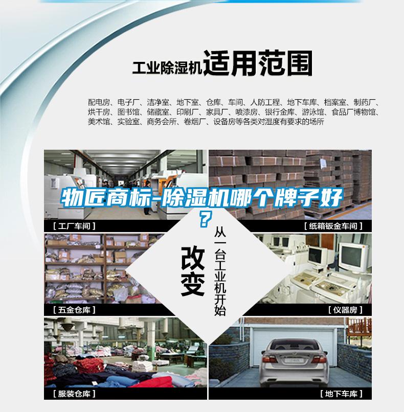 物匠商标-麻豆视频黄网站哪个牌子好？