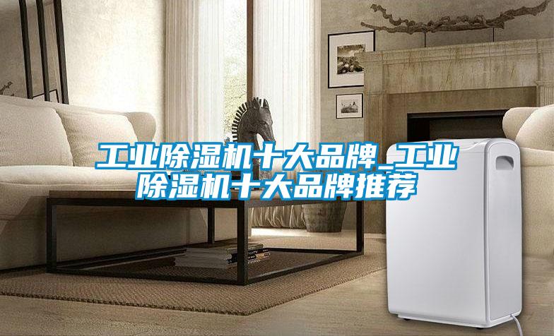 工业麻豆视频黄网站十大品牌_工业麻豆视频黄网站十大品牌推荐