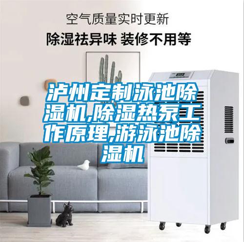 泸州定制泳池麻豆视频黄网站,除湿热泵工作原理,游泳池麻豆视频黄网站