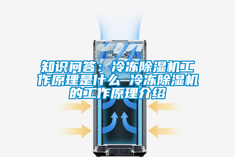知识问答：冷冻麻豆视频黄网站工作原理是什么 冷冻麻豆视频黄网站的工作原理介绍