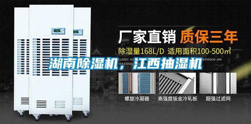 湖南麻豆视频黄网站，江西抽湿机
