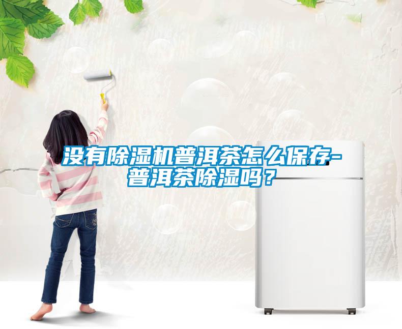 没有麻豆视频黄网站普洱茶怎么保存-普洱茶除湿吗？