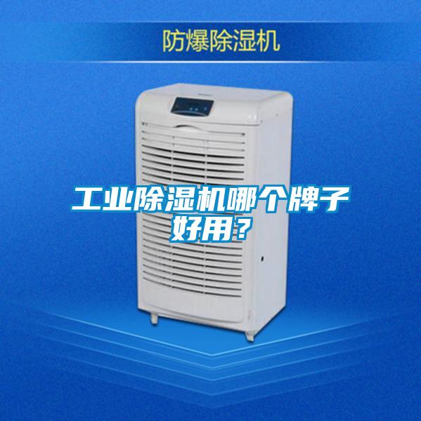 工业麻豆视频黄网站哪个牌子好用？
