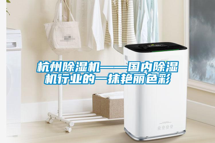杭州麻豆视频黄网站——国内麻豆视频黄网站行业的一抹艳丽色彩