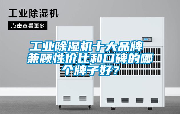 工业麻豆视频黄网站十大品牌 兼顾性价比和口碑的哪个牌子好？