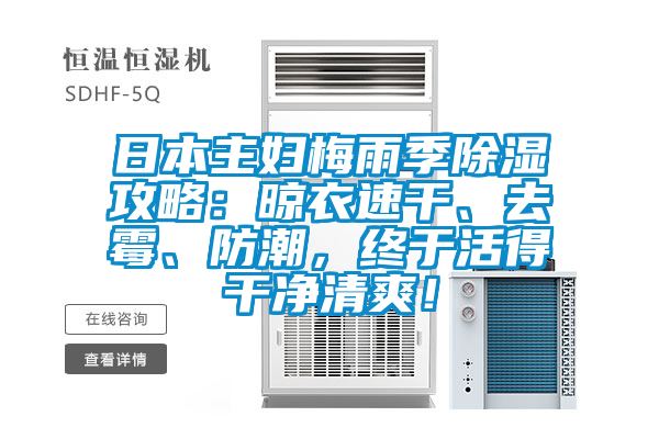日本主妇梅雨季除湿攻略：晾衣速干、去霉、防潮，终于活得干净清爽！