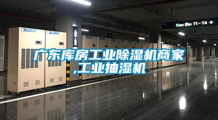 广东库房工业麻豆视频黄网站商家,工业抽湿机