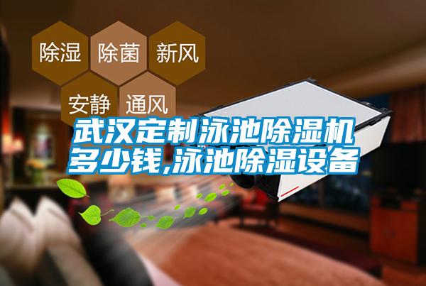 武汉定制泳池麻豆视频黄网站多少钱,泳池除湿设备