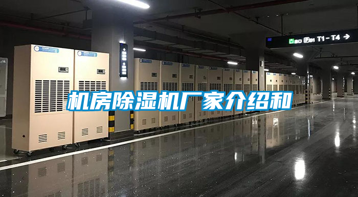 机房麻豆视频黄网站厂家介绍和