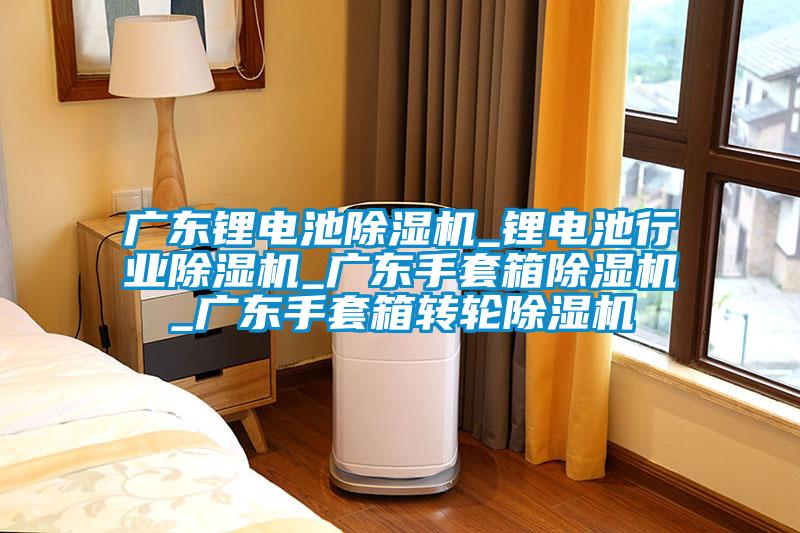 广东锂电池麻豆视频黄网站_锂电池行业麻豆视频黄网站_广东手套箱麻豆视频黄网站_广东手套箱转轮麻豆视频黄网站