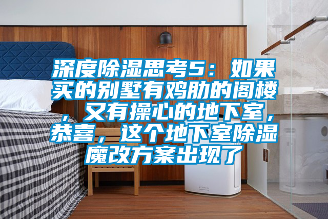 深度除湿思考5：如果买的别墅有鸡肋的阁楼，又有操心的地下室，恭喜，这个地下室除湿魔改方案出现了