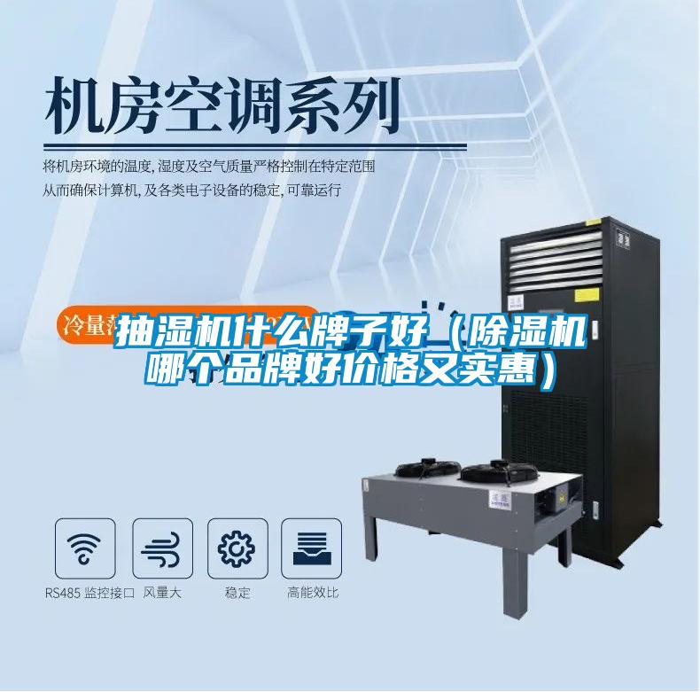 抽湿机什么牌子好（麻豆视频黄网站哪个品牌好价格又实惠）
