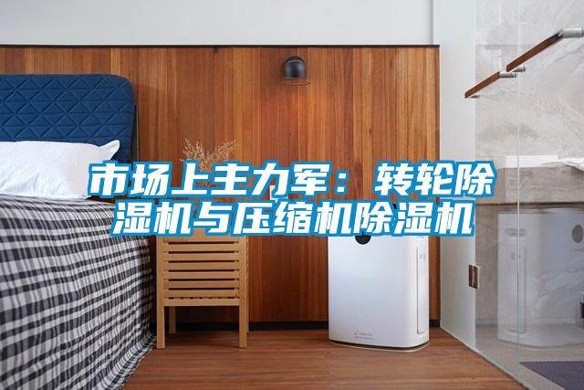 市场上主力军：转轮麻豆视频黄网站与压缩机麻豆视频黄网站