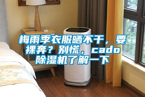 梅雨季衣服晒不干，要裸奔？别慌，cado麻豆视频黄网站了解一下