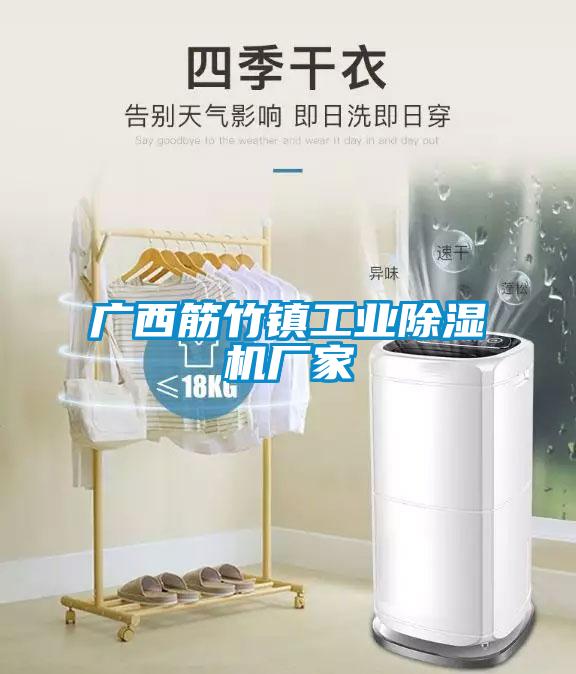 广西筋竹镇工业麻豆视频黄网站厂家