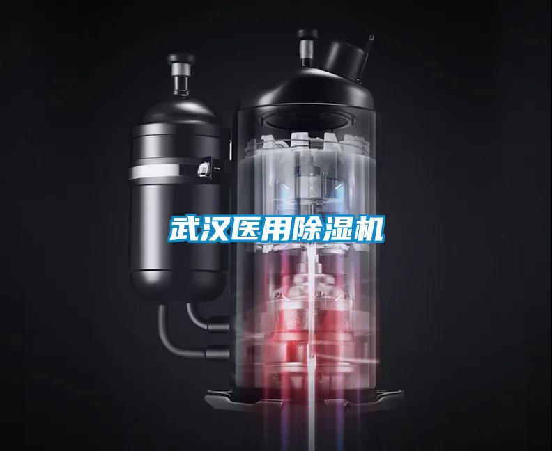 武汉医用麻豆视频黄网站