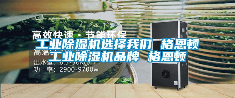 工业麻豆视频黄网站选择麻豆APP官网 格恩顿工业麻豆视频黄网站品牌 格恩顿
