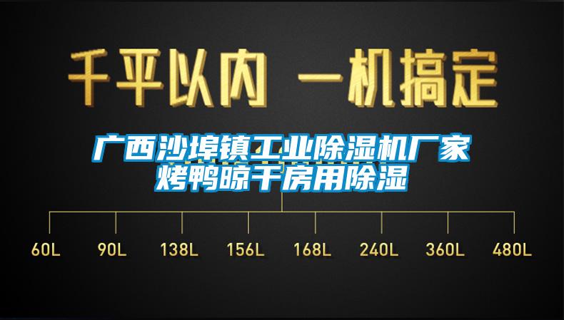 广西沙埠镇工业麻豆视频黄网站厂家烤鸭晾干房用除湿