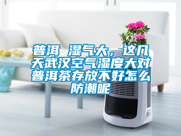 普洱 湿气大，这几天武汉空气湿度大对普洱茶存放不好怎么防潮呢