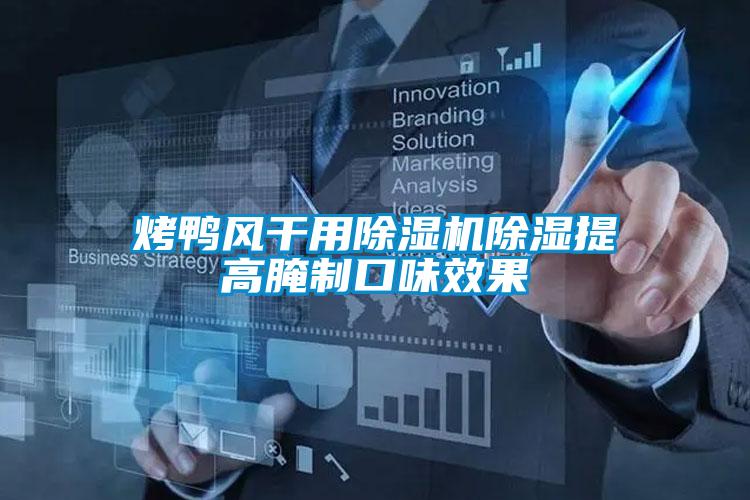 烤鸭风干用麻豆视频黄网站除湿提高腌制口味效果
