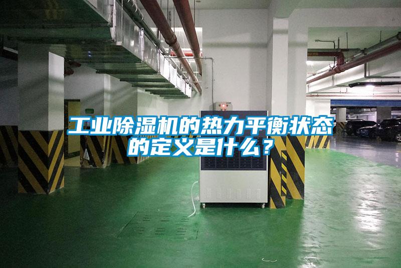 工业麻豆视频黄网站的热力平衡状态的定义是什么？