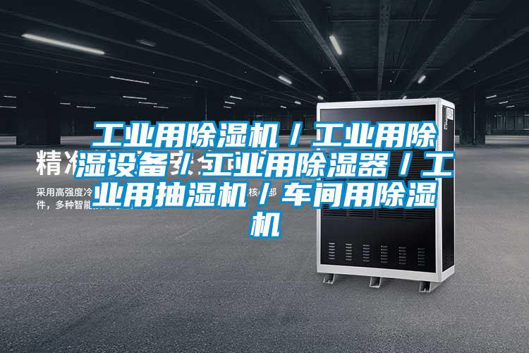 工业用麻豆视频黄网站／工业用除湿设备／工业用除湿器／工业用抽湿机／车间用麻豆视频黄网站