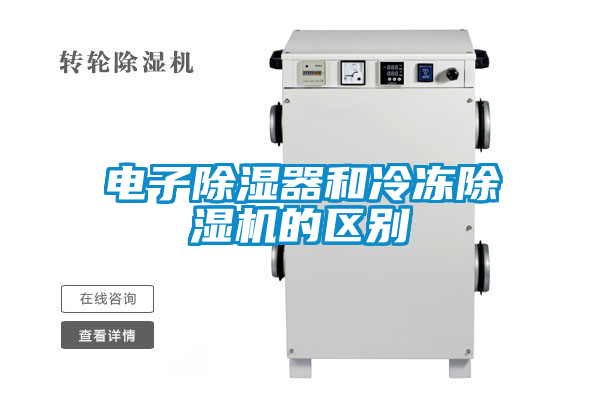 电子除湿器和冷冻麻豆视频黄网站的区别