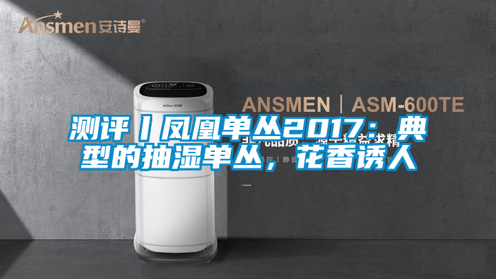 测评丨凤凰单丛2017：典型的抽湿单丛，花香诱人