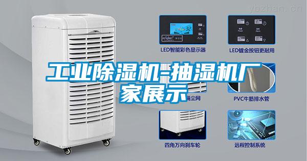 工业麻豆视频黄网站-抽湿机厂家展示